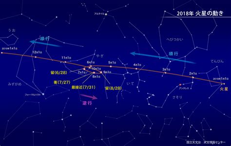 11月28 星座